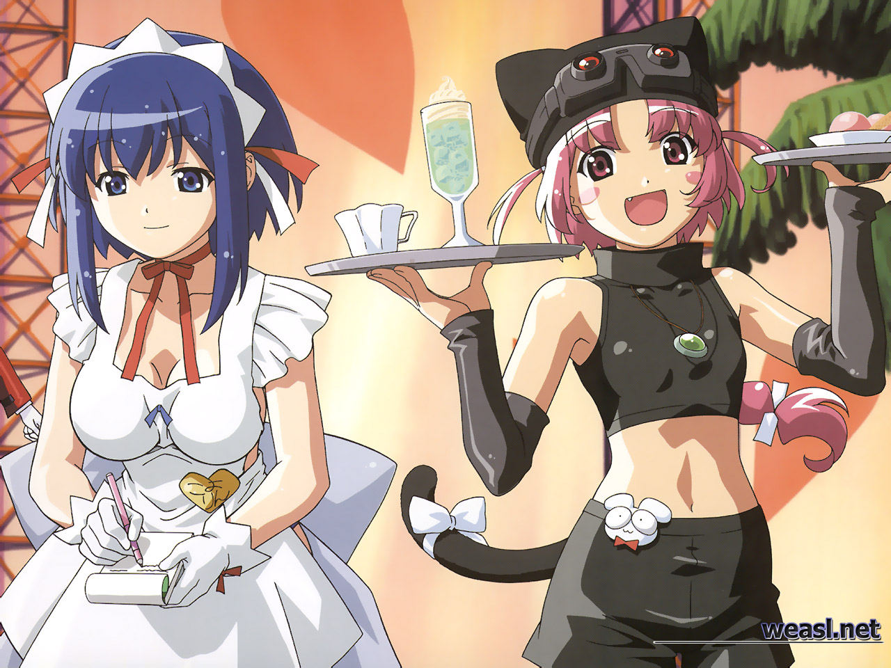 animal_ears, catgirl, kokubunji_koyori, nakahara_komugi, nurse_witch_komugi-chan, poyoyon_rokku, waitress