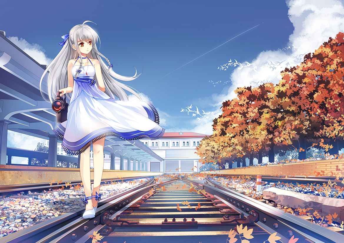 animal, anthropomorphism, autumn, bird, braids, china_railway_girl, clouds, dress