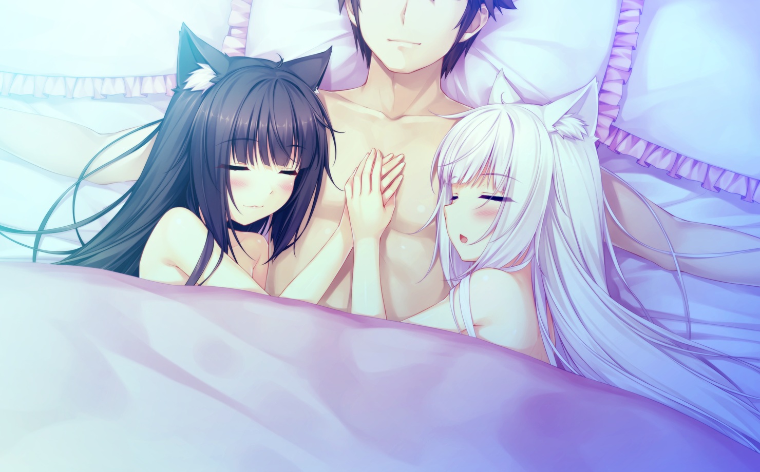 animal_ears, bed, blush, brown_hair, catgirl, chocola_(sayori), game_cg, male