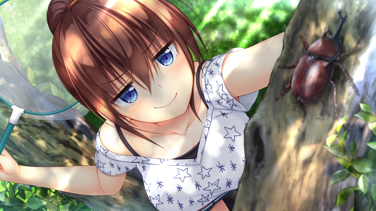 animal, aqua_eyes, asami_asami, blush, brown_hair, game_cg, hibiki_works, natural_vacation
