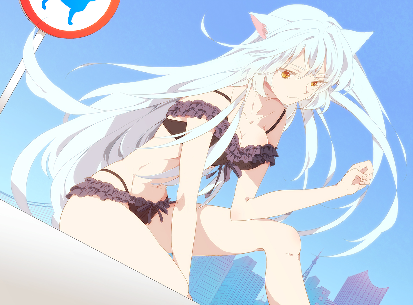 animal_ears, bakemonogatari, bra, breasts, catgirl, cleavage, hanekawa_tsubasa, long_hair