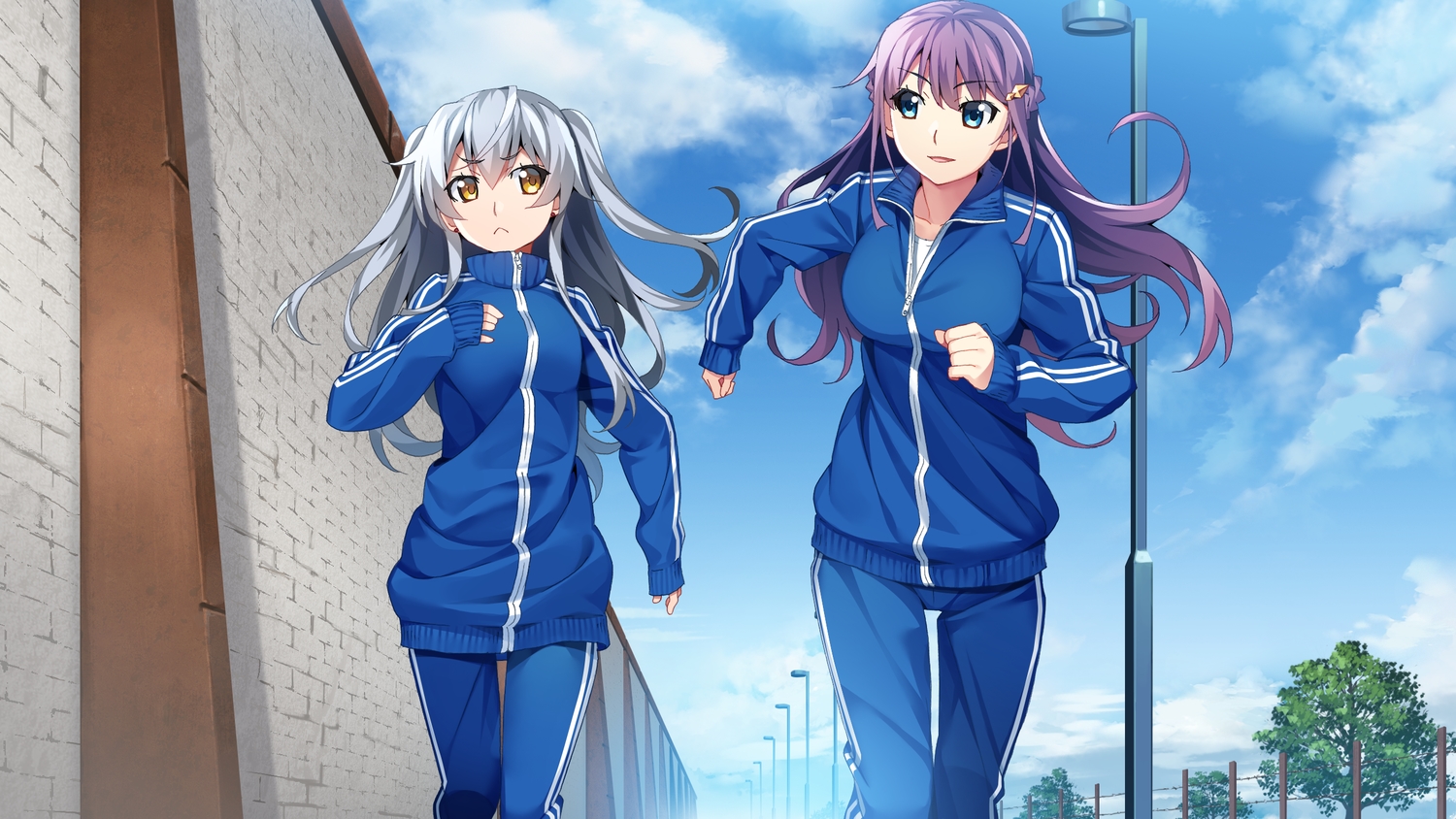 2girls, aqua_eyes, braids, clouds, front_wing, fukami_reina, game_cg, gray_hair