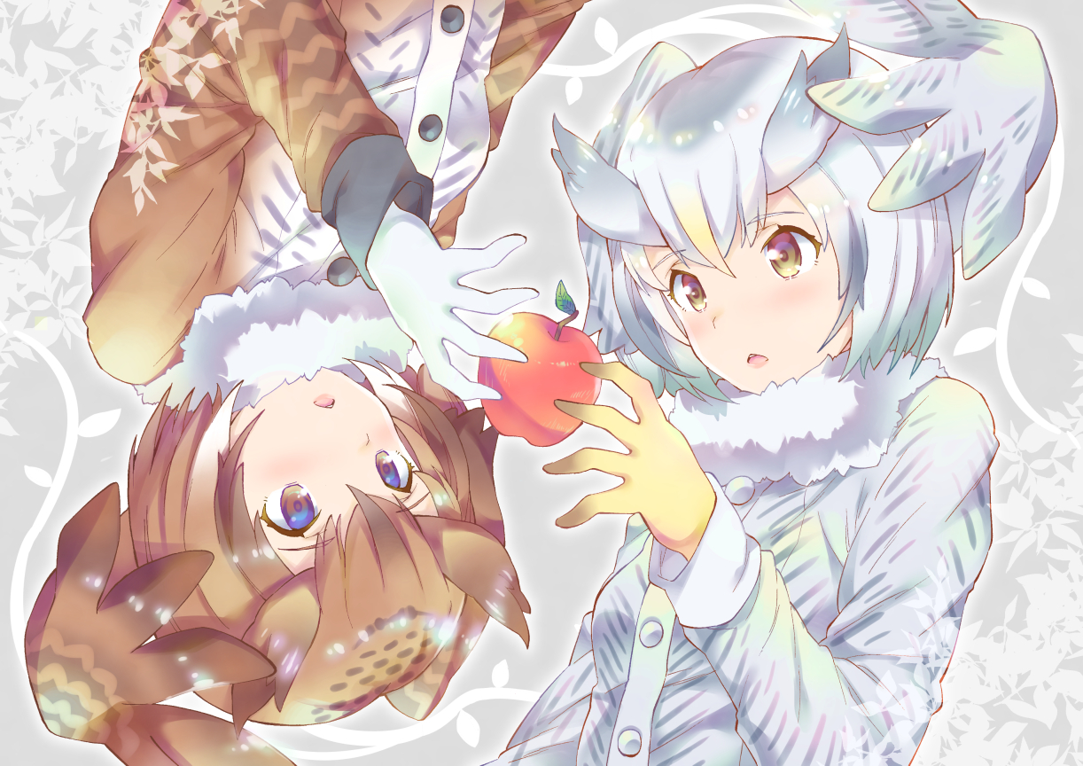 2girls, anthropomorphism, apple, brown_eyes, brown_hair, eurasian_eagle-owl_(kemono_friends), food, fruit, gloves, kemono_friends, northern_white-faced_owl_(kemono_friends), short_hair, takano_itsuki, white_hair, wings