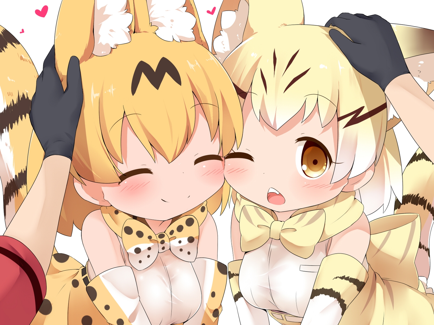 animal_ears, anthropomorphism, blonde_hair, blush, brown_eyes, catgirl, close, gloves