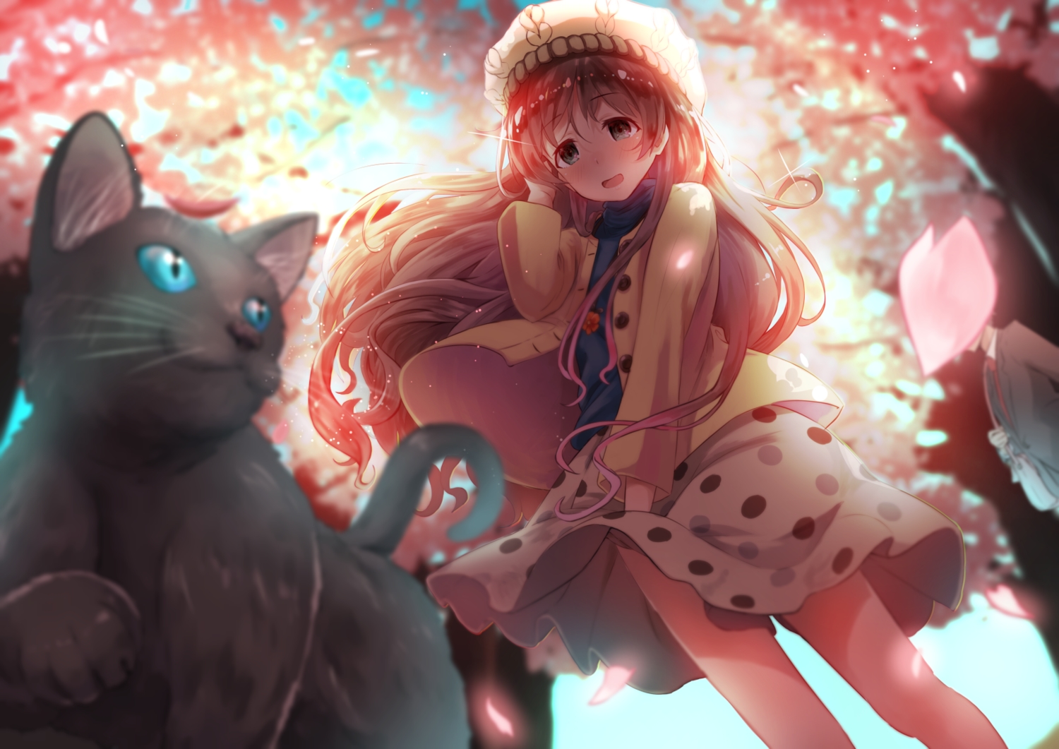 0141zucker, animal, cat, tokyo_7th_sisters