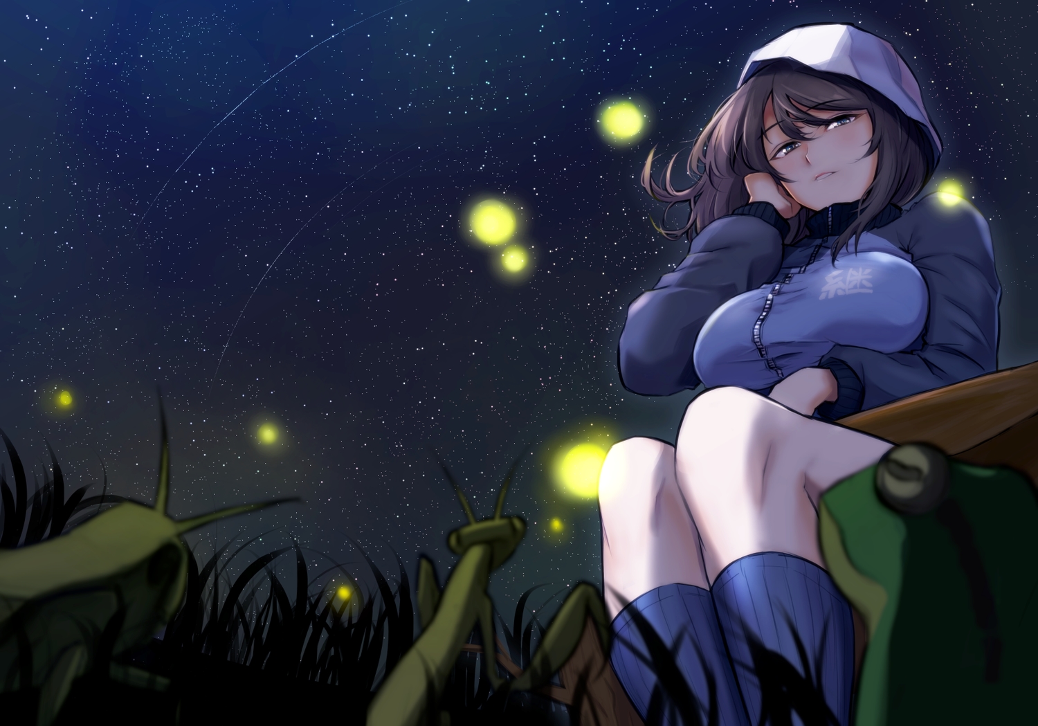 animal, breasts, brown_eyes, brown_hair, frog, girls_und_panzer, kneehighs, m2b