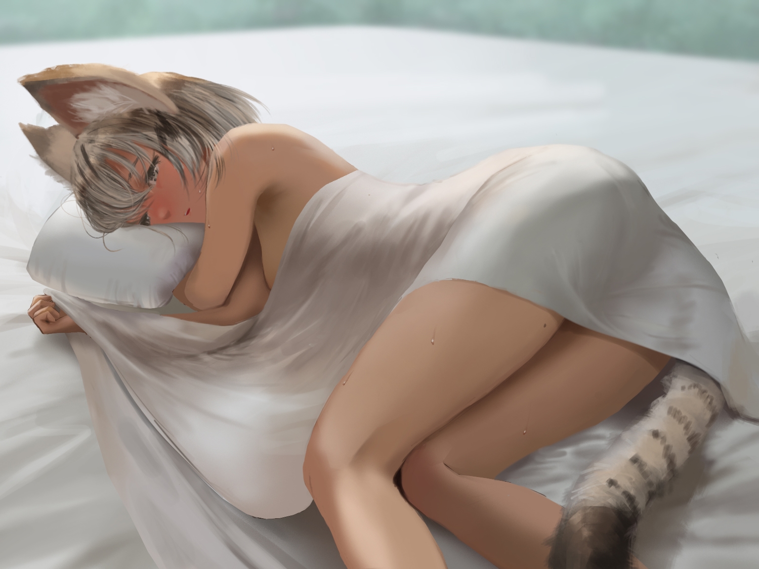animal_ears, anthropomorphism, bed, blush, catgirl, furukawa_hetzer, gray_eyes, gray_hair