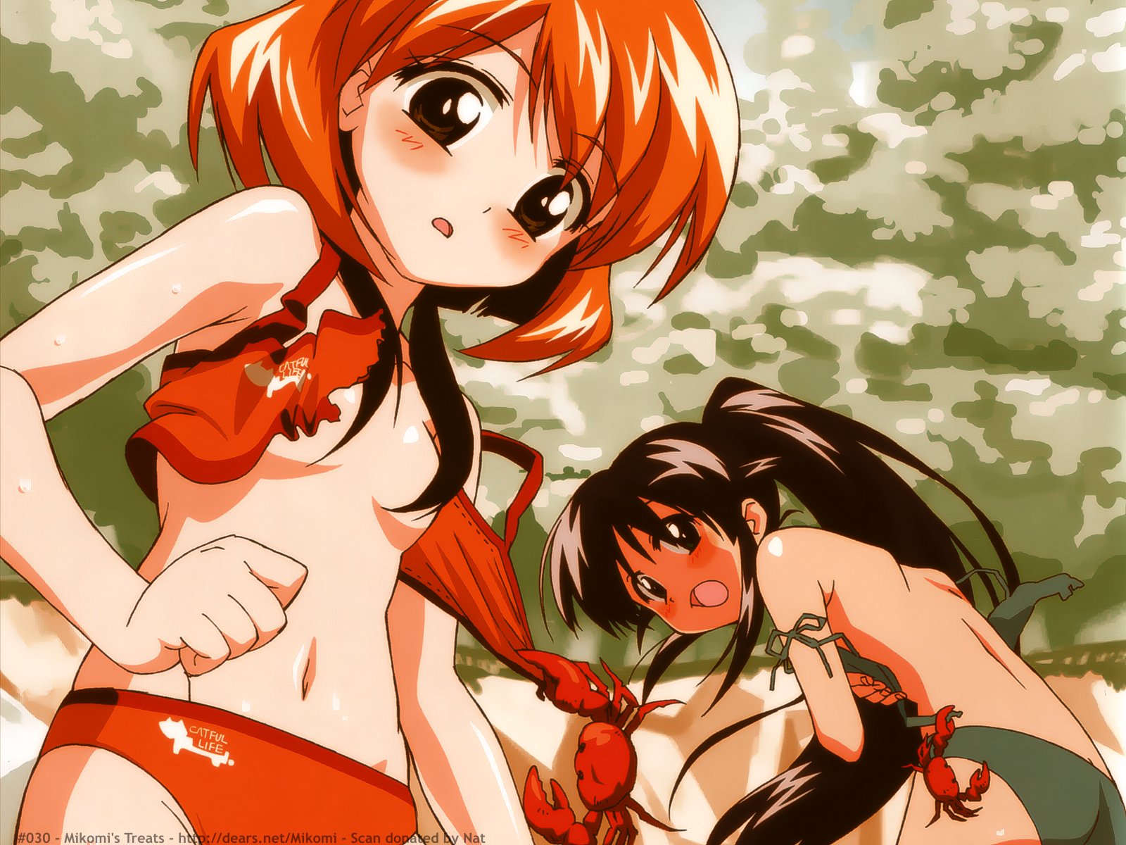 andou_mahoro, andou_minawa, animal, beach, bikini, blush, crab, mahoromatic, navel, swimsuit