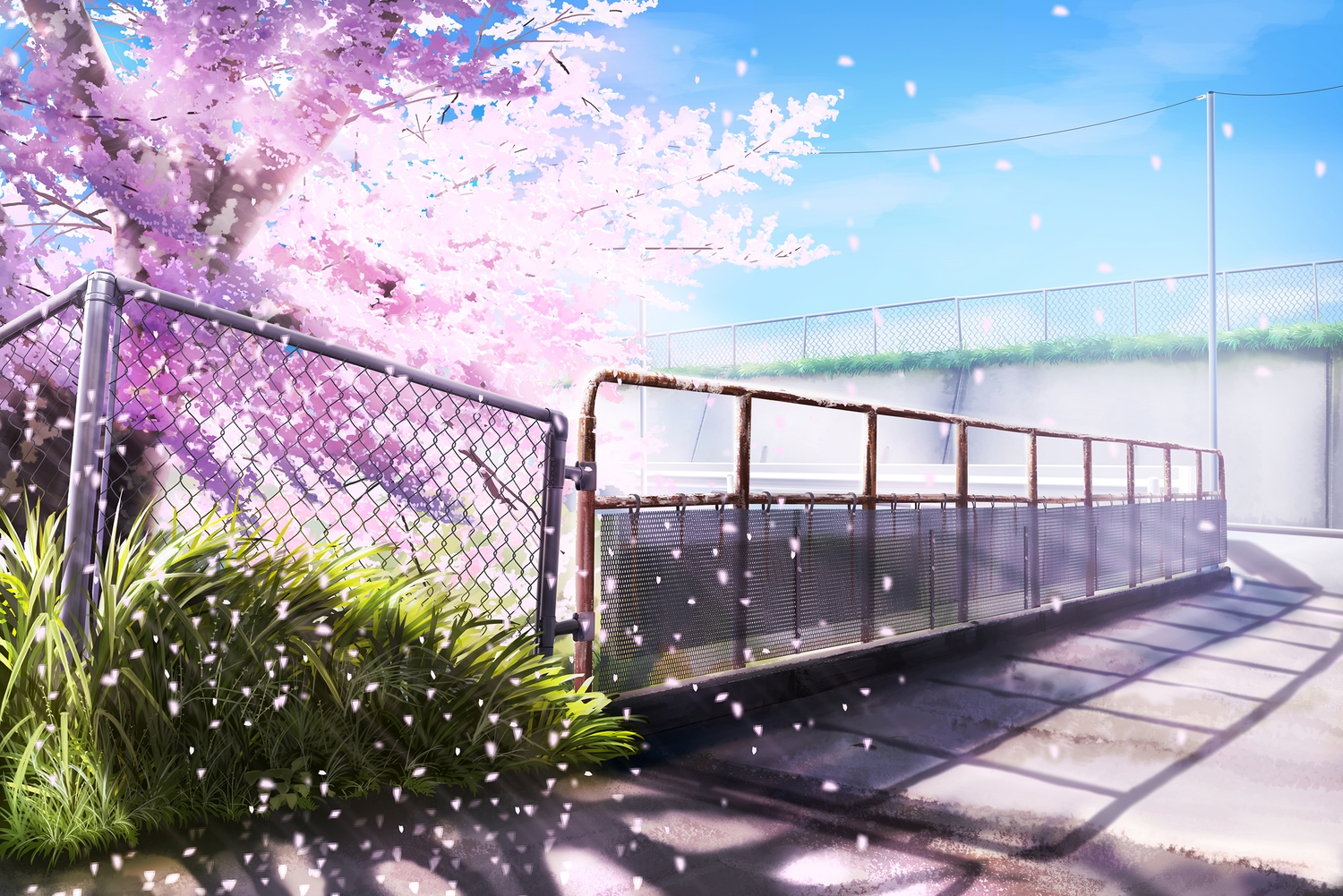 cherry_blossoms, flowers, grass, hankachi_(okayama012), no_humans, original, petals, scenic, sky