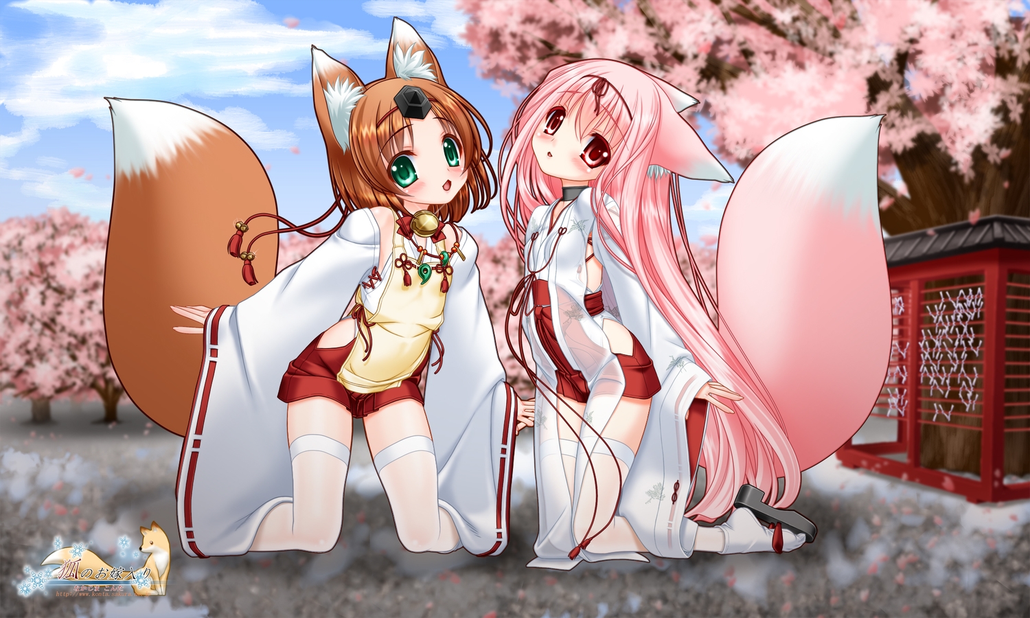 2girls, animal_ears, bell, blush, brown_hair, cherry_blossoms, choker, clouds, flat_chest, flowers, foxgirl, green_eyes, japanese_clothes, logo, loli, long_hair, miko, momoyuki, nakajima_konta, necklace, pink_hair, red_eyes, short_hair, sky, snow_fox, tail, thighhighs, tree, yukinagi, zettai_ryouiki