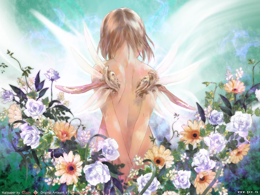 saishuu_heiki_kanojo, takahashi_shin
