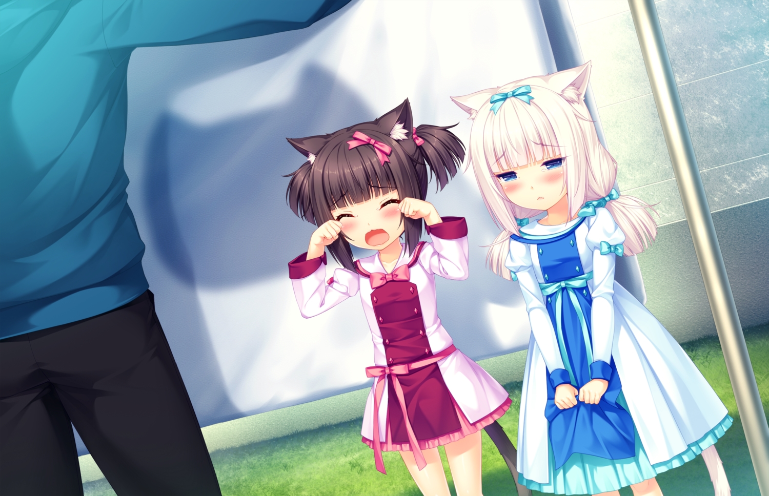 animal_ears, black_hair, blue_eyes, blush, catgirl, chocola_(sayori), game_cg, loli