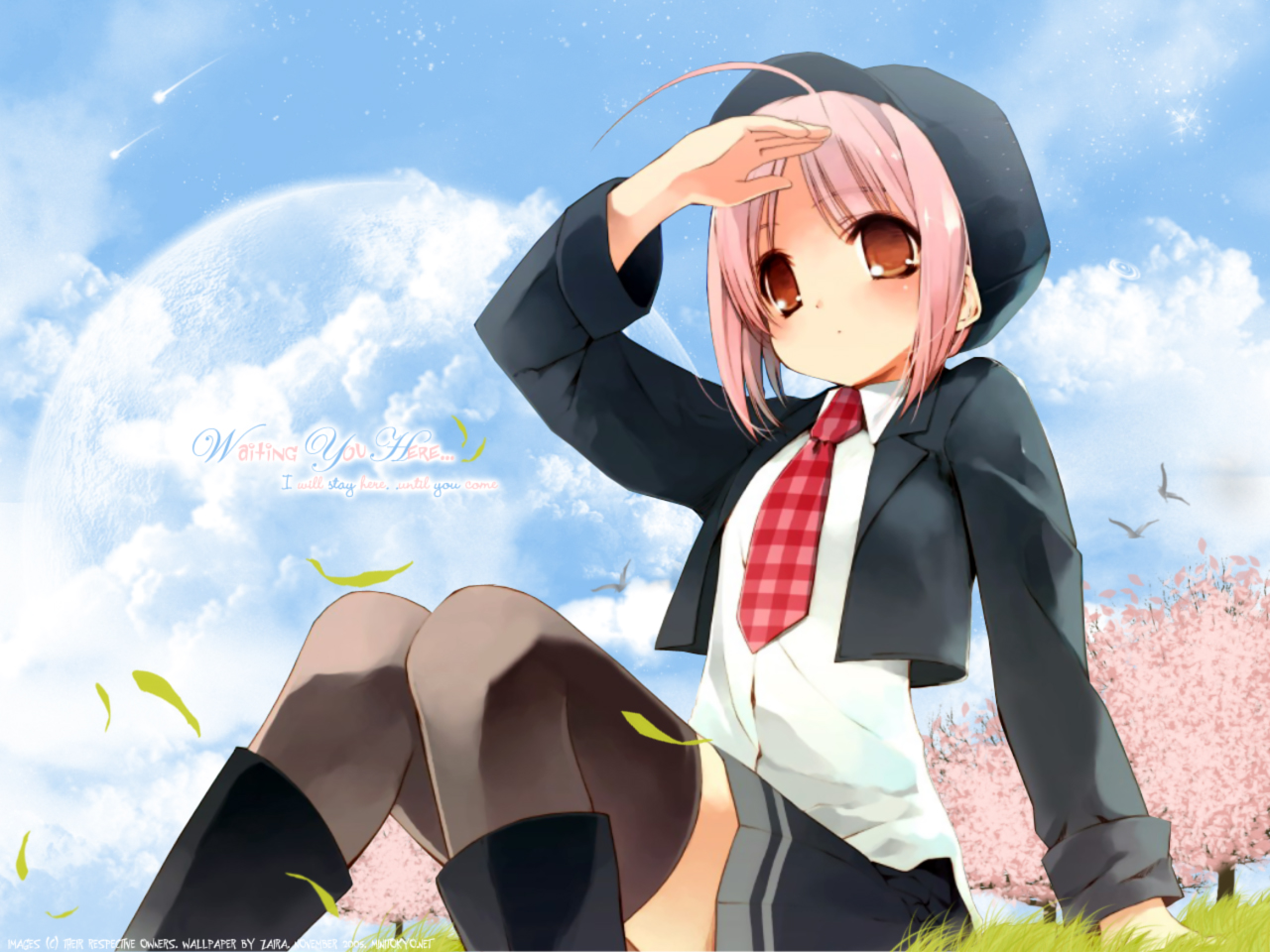 akino_momiji, animal, bird, cherry_blossoms, clouds, flowers, grass, hat