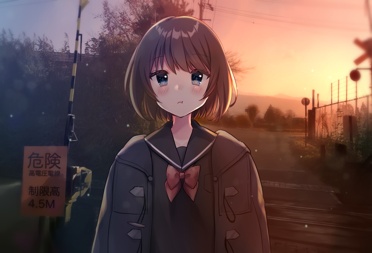 blue_eyes, blush, bow, brown_hair, minami_saki, original, scenic, school_uniform