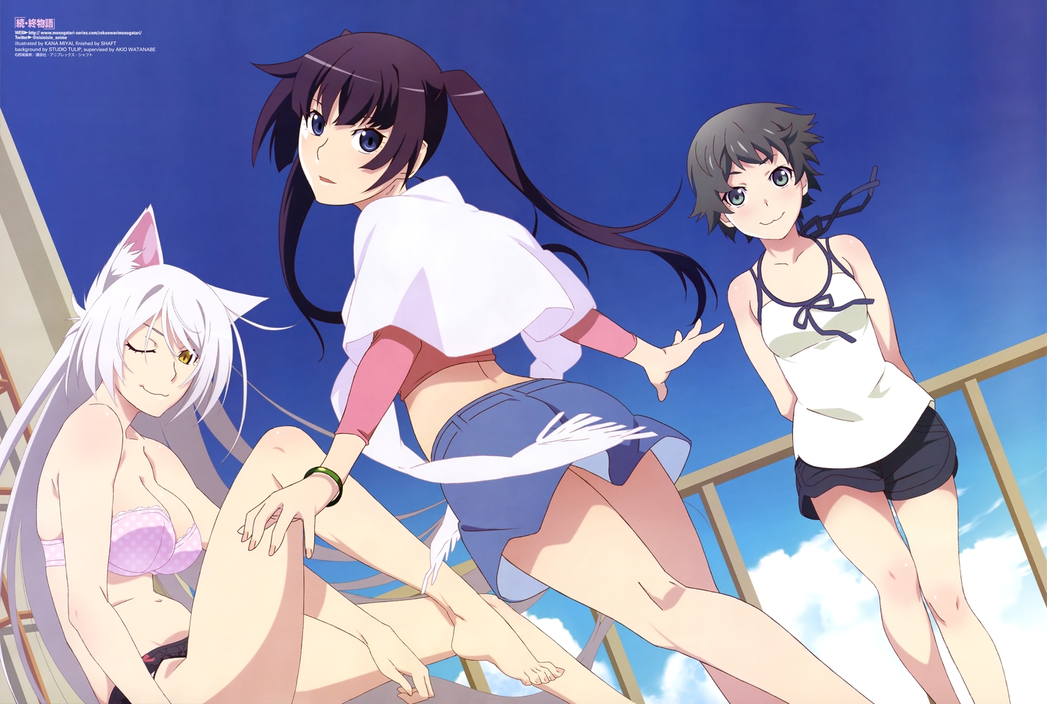 animal_ears, bakemonogatari, barefoot, blue_eyes, bra, breasts, catgirl, clouds, gray_hair, green_eyes, hanekawa_tsubasa, long_hair, miyai_kana, monogatari_(series), owarimonogatari, panties, purple_hair, scan, senjougahara_hitagi, short_hair, shorts, skirt, sky, sodachi_oikura, twintails, underwear, white_hair, wink, yellow_eyes, zoku_owarimonogatari