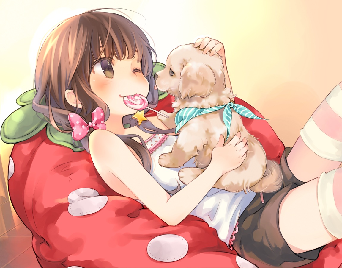 animal, blush, bow, brown_eyes, brown_hair, candy, dog, kuga_tsukasa