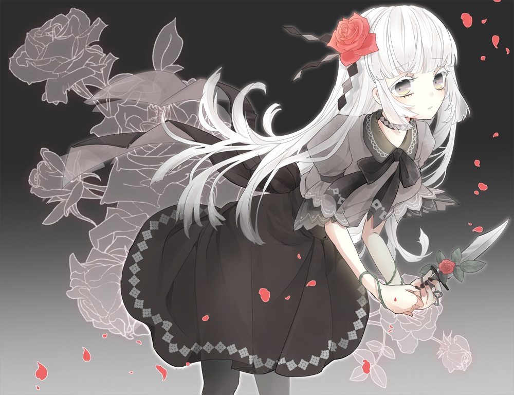 choker, dress, flowers, gothic, gradient, gray, gray_eyes, knife, long_hair, original, pantyhose, petals, ringoro, rose, weapon, white_hair