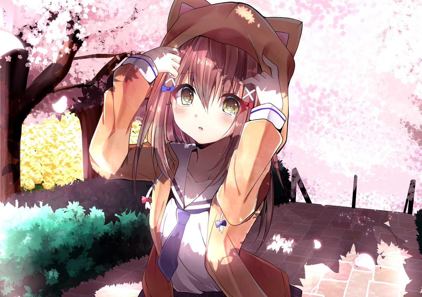 blush, brown_hair, cherry_blossoms, flowers, hachigatsu_no_cinderella_nine, hayami_rokushichi, hood, long_hair, petals, school_uniform, tie, ukita_akane, yellow_eyes