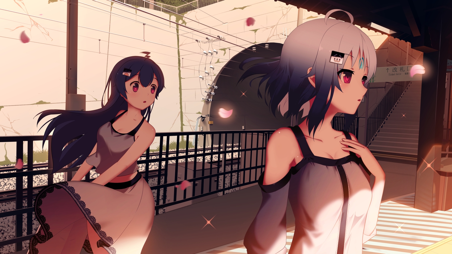 2girls, bili_bili_douga, bili_girl_22, bili_girl_33, blue_hair, dalian_(artist), gray_hair, long_hair, petals, pink_eyes, short_hair, stairs, train