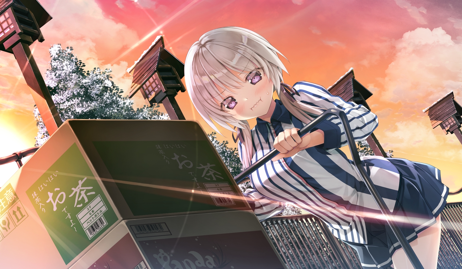 blush, clouds, game_cg, gray_hair, kakegawa_hazuki, kiba_satoshi, marmalade, purple_eyes