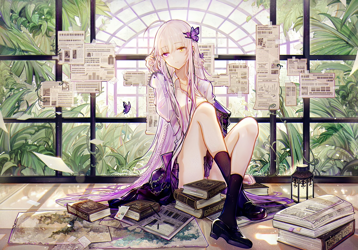 bicolored_eyes, book, braids, butterfly, chain, gray_hair, inoriac, long_hair