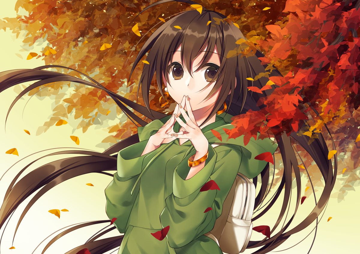 autumn, brown_eyes, brown_hair, hood, kirisita, leaves, long_hair, original