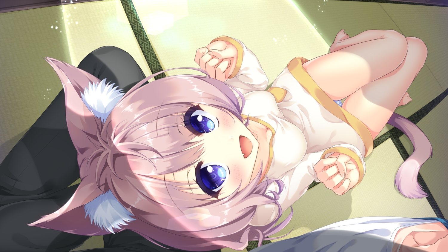 animal_ears, blue_eyes, breasts, cameltoe, kinari_momiji, long_hair, lump_of_sugar, panties