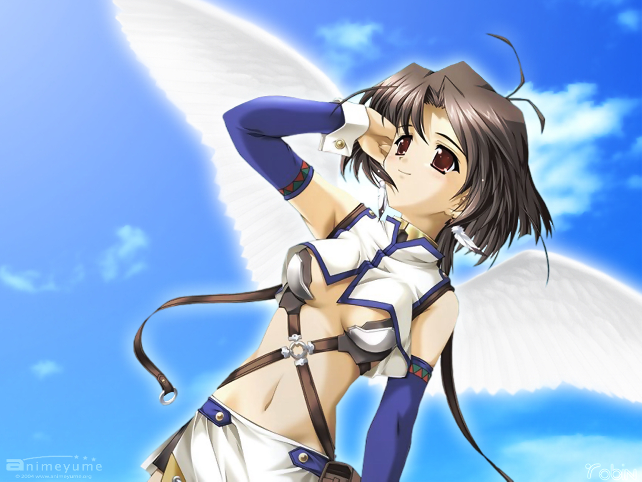 aka, chu-chu, nekoneko_soft, sky, wings