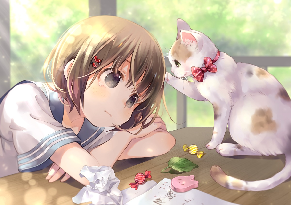 animal, black_eyes, brown_hair, candy, cat, kuga_tsukasa, original, paper