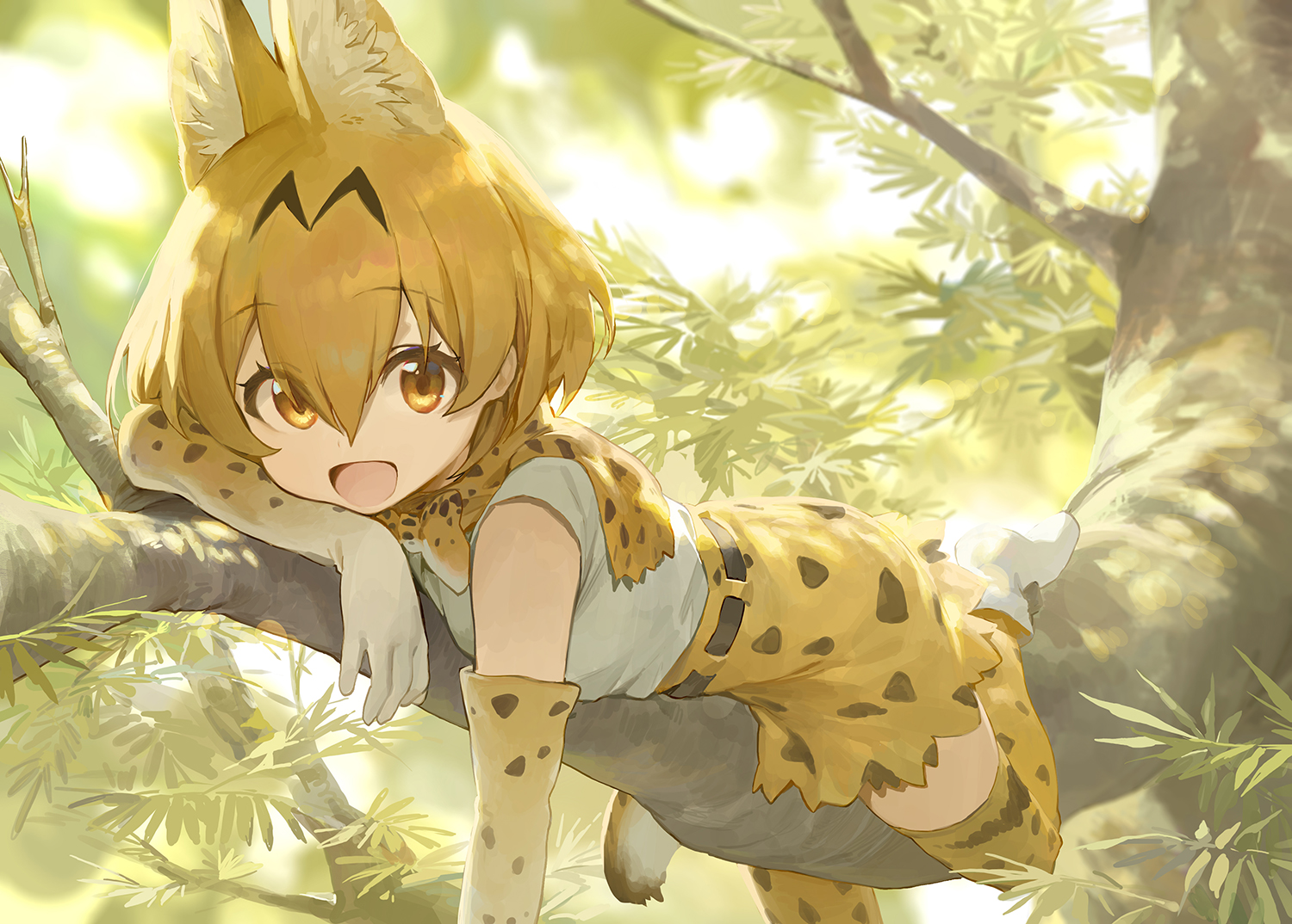 animal_ears, anthropomorphism, brown_eyes, brown_hair, catgirl, elbow_gloves, gloves, kemono_friends, modare, serval, short_hair, skirt, thighhighs, tree, zettai_ryouiki