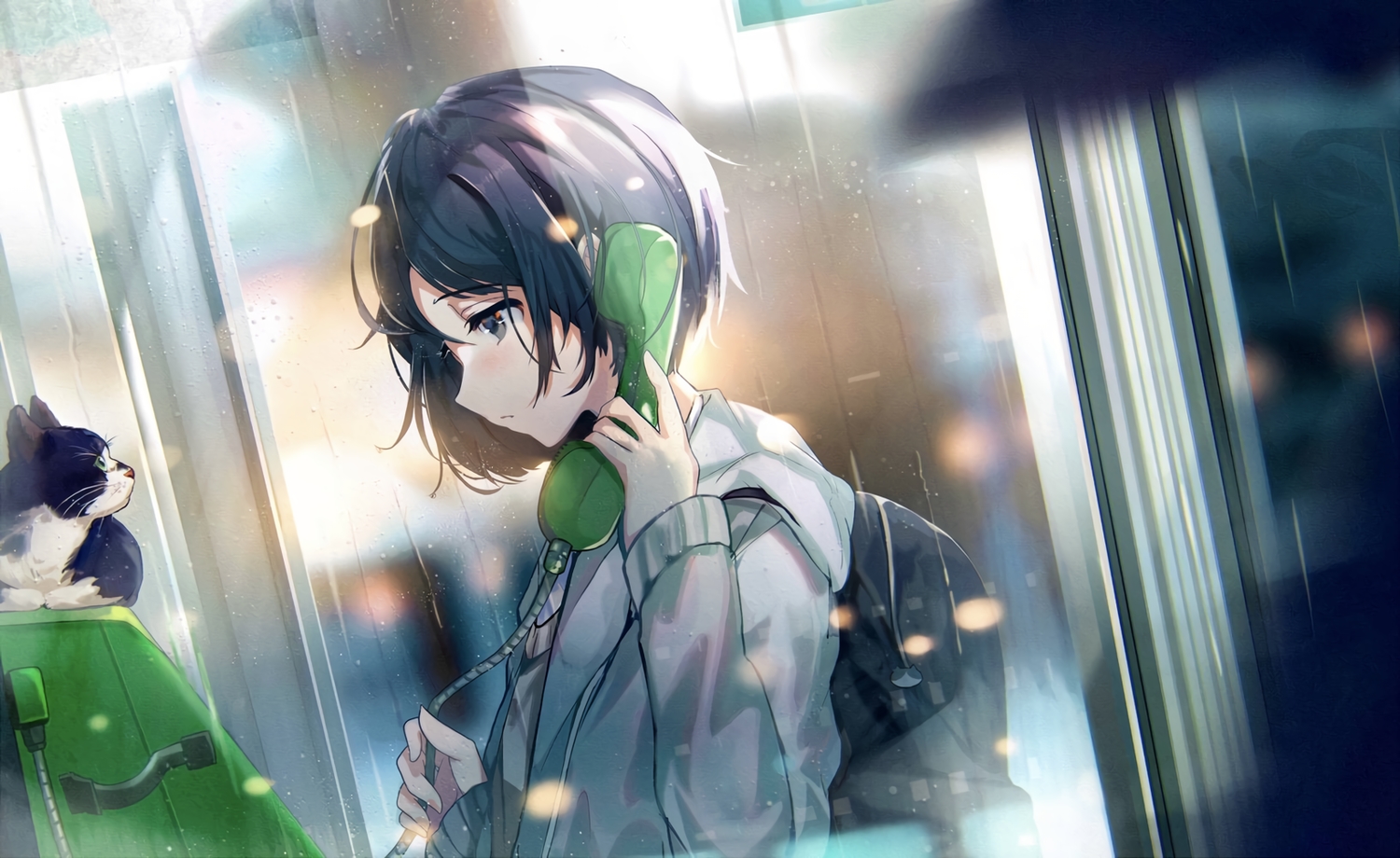 animal, cat, hisao_0111, hood, night, original, phone, rain, short_hair, water