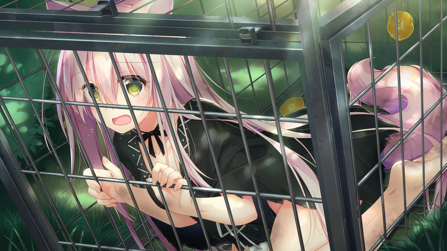 animal_ears, cage, game_cg, kemono_musume_no_sodatekata, motomiya_mitsuki, sakuraba_iroha, sweet&tea, tail