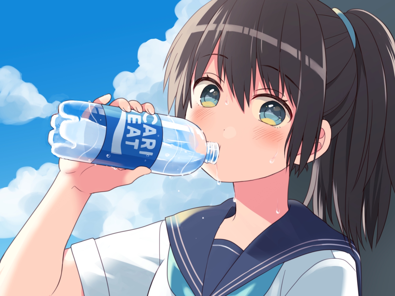black_eyes, black_hair, blush, close, clouds, drink, original, ponytail, school_uniform, sky, uramakaron