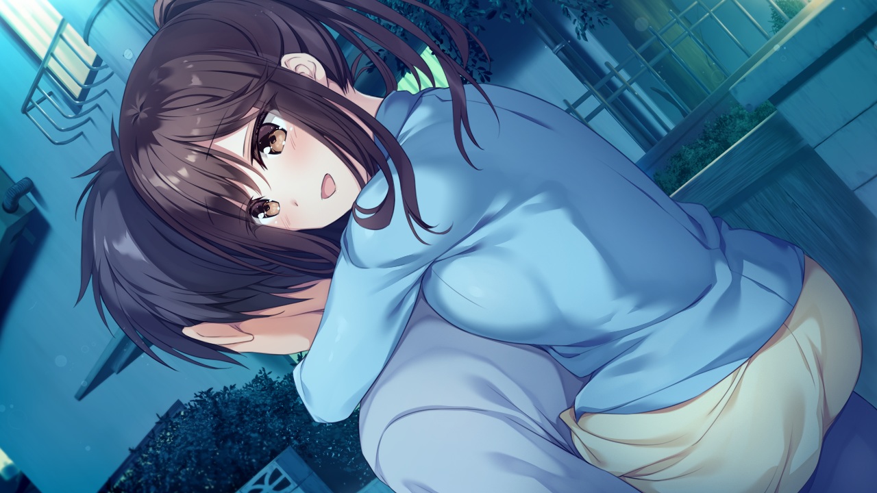 black_hair, blush, brown_eyes, brown_hair, building, futagawa_haru, game_cg, hibiki_works