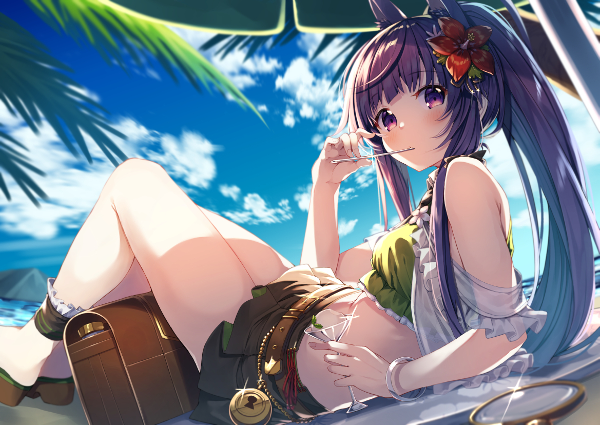 aliasing, animal_ears, clouds, doggirl, drink, gurasion_(gurasion), kirihara_kasumi, long_hair, ponytail, princess_connect!, purple_hair, skirt, sky