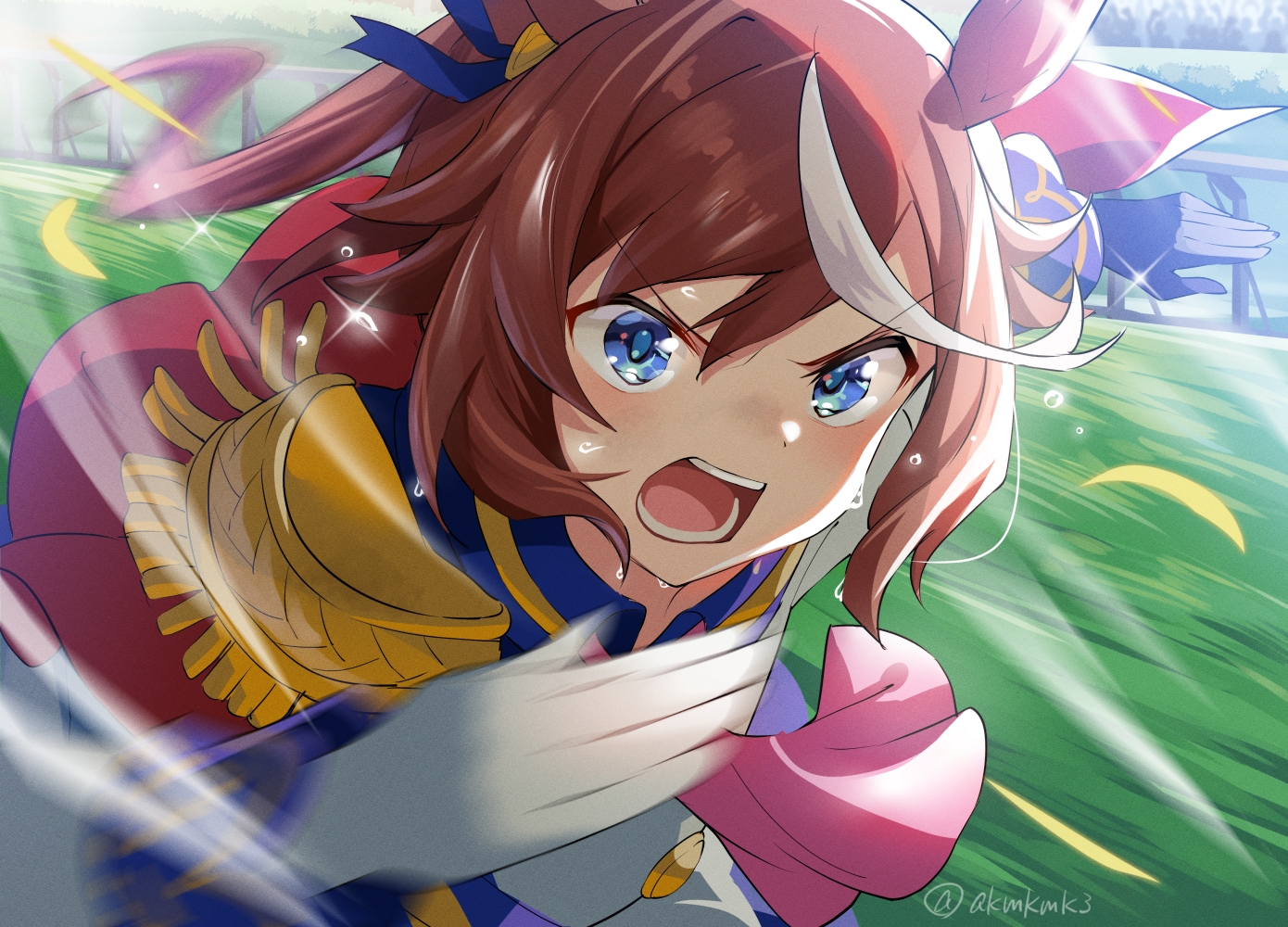 akamoku, animal_ears, anthropomorphism, blue_eyes, brown_hair, cape, close, gloves