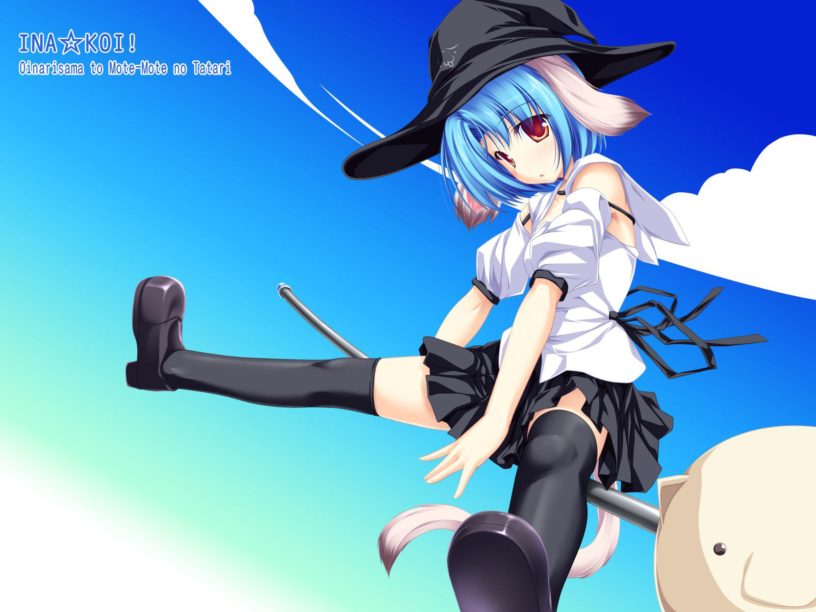 animal_ears, blue_hair, haruhi_sarasa, hat, inakoi, sky, tail, zettai_ryouiki