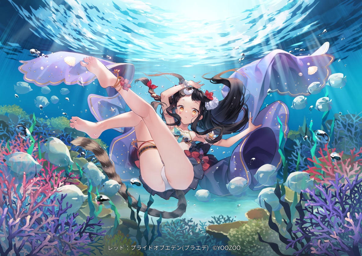 animal, barefoot, black_hair, braids, brown_eyes, conchita_(red:_pride_of_eden), fish, long_hair, red:_pride_of_eden, shinia, tail, underwater, water