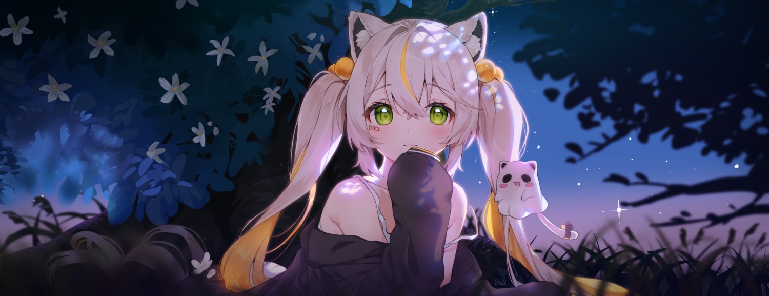 animal_ears, catgirl, cheli_(kso1564), dan_gyuri, flowers, grass, green_eyes, long_hair, night, stars, twintails, white_hair