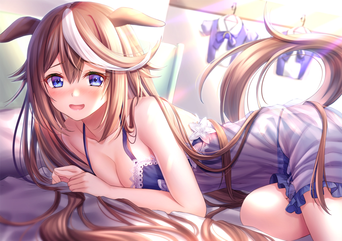 animal_ears, anthropomorphism, bed, blue_eyes, blush, brown_hair, long_hair, panties, see_through, tokai_teio_(umamusume), toshi_(1-147), uma_musume:_pretty_derby, underwear
