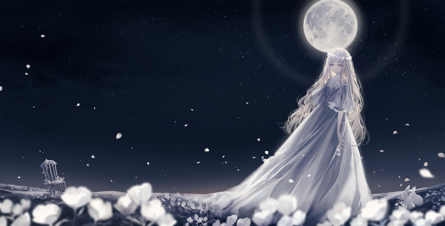 cage, dress, long_hair, original, polychromatic, white_hair, yoggi_(stretchmen)