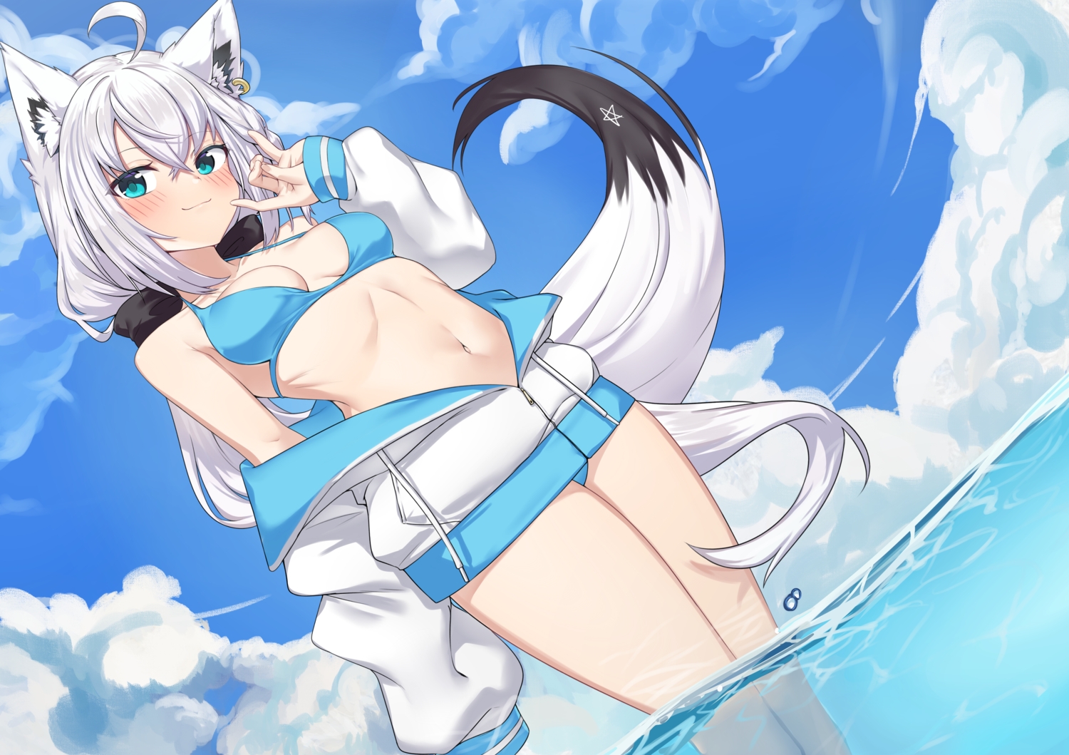 animal_ears, aqua_eyes, bikini, braids, clouds, foxgirl, gray_hair, hololive