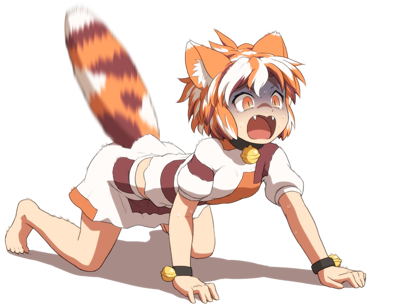 animal_ears, barefoot, bell, catgirl, collar, fang, goutokuji_mike, orange_eyes