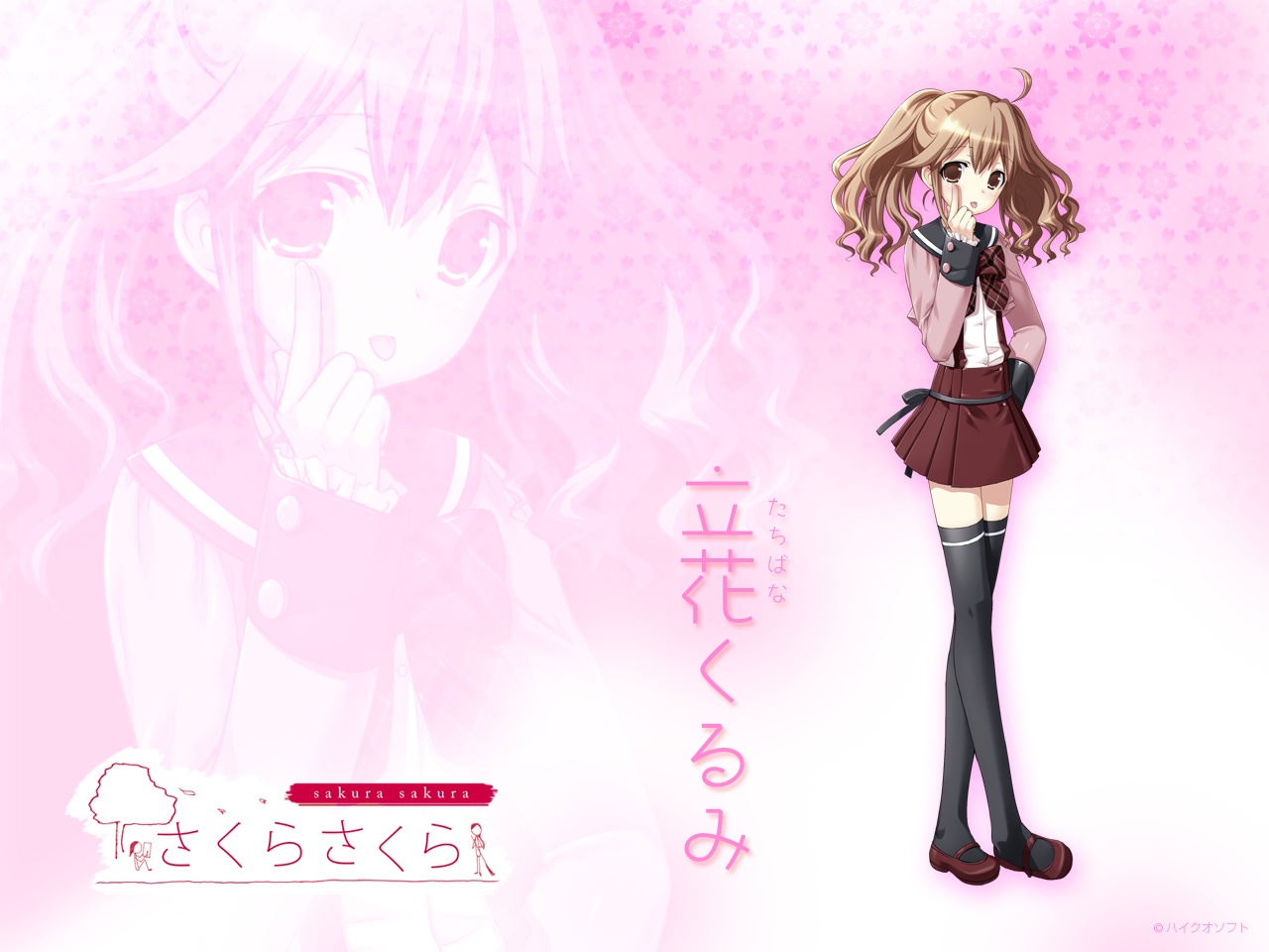 kasukabe_akira, sakura_sakura, tachibana_kurumi