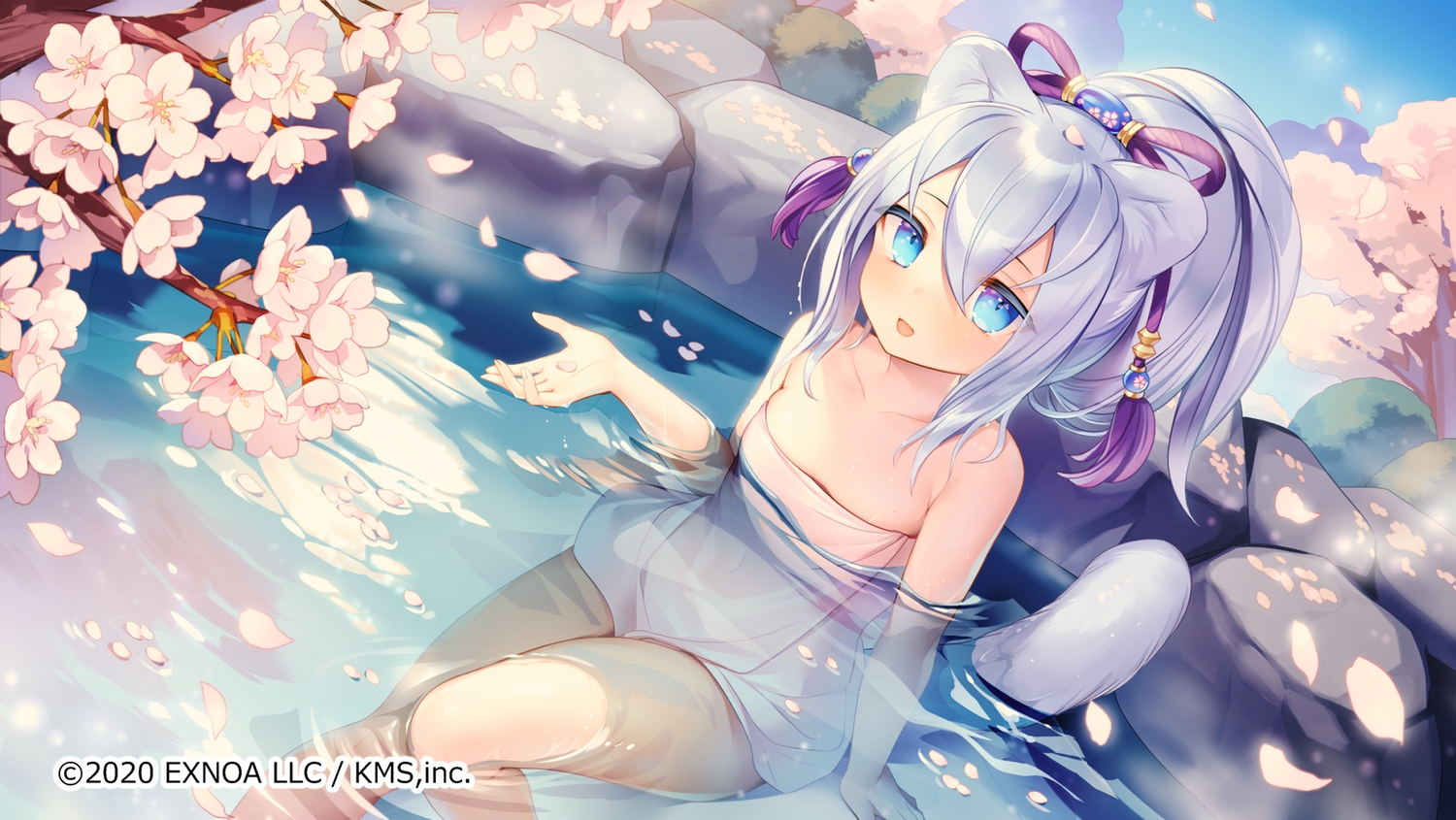 animal_ears, aqua_eyes, cherry_blossoms, flowers, gray_hair, kinugawa_(mist_train_girls), loli, long_hair