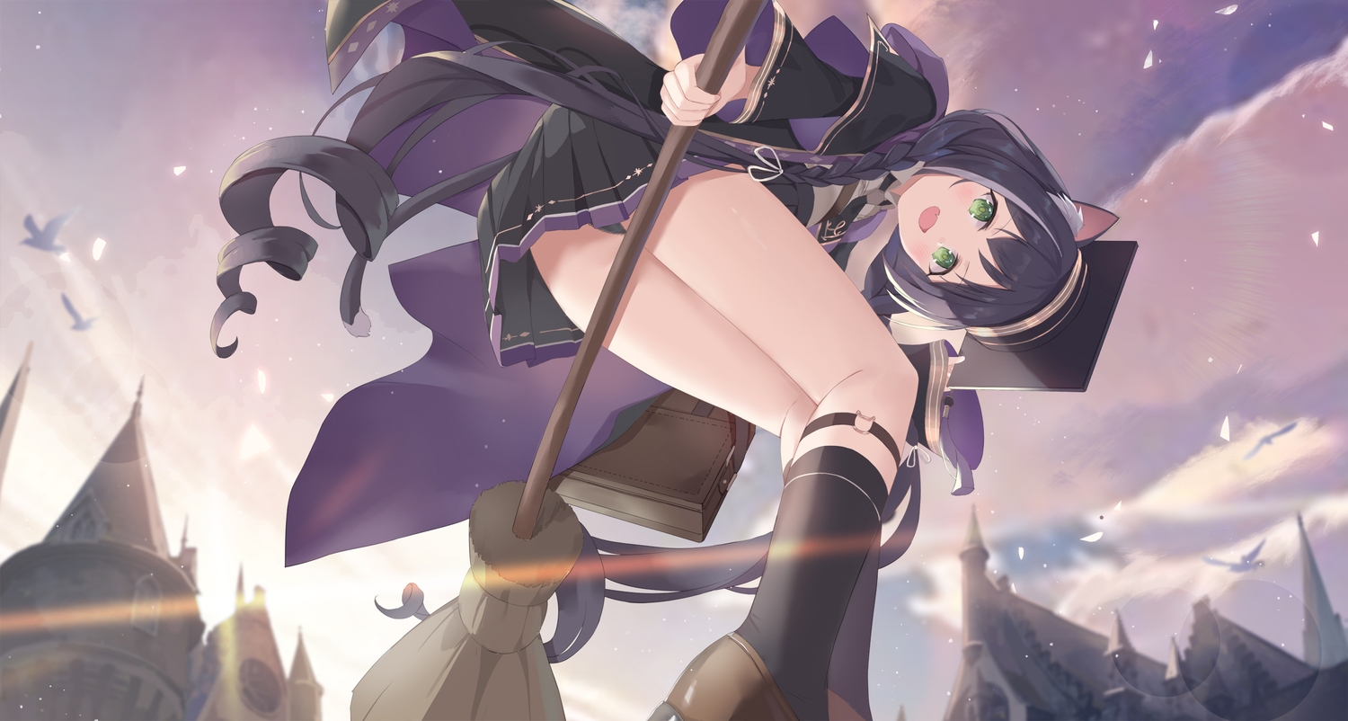 animal_ears, black_hair, braids, building, catgirl, clouds, fang, garter