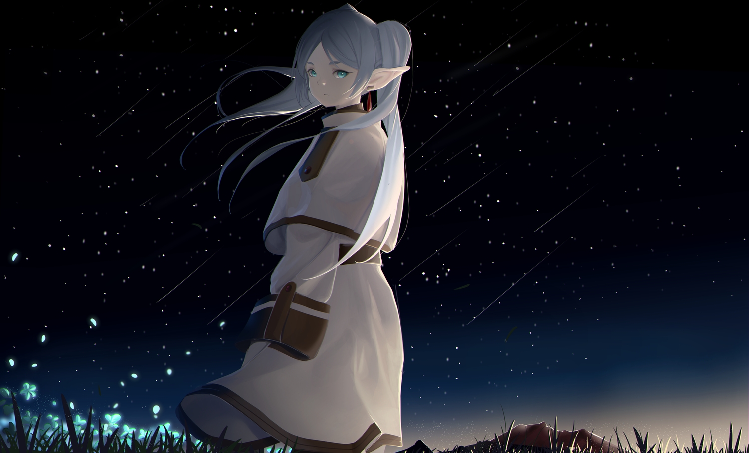 aqua_eyes, cape, flowers, frieren, grass, gray_hair, long_hair, night, petals, pointed_ears, scarfpen01, sky, sousou_no_frieren, stars, twintails