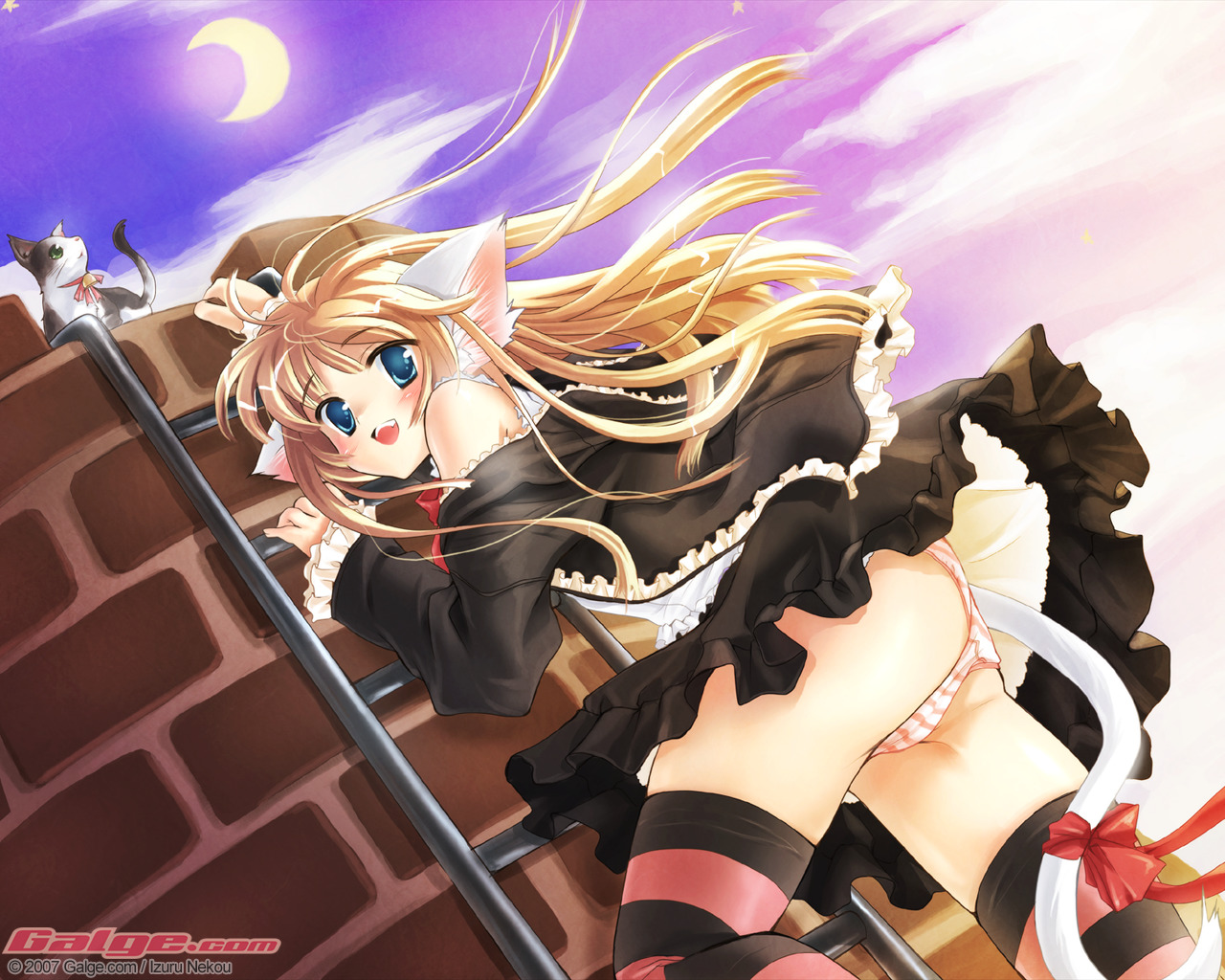 animal, animal_ears, catgirl, galge.com, goth-loli, headdress, logo, lolita_fashion, nekou_izuru, panties, ribbons, skirt, striped_panties, tail, thighhighs, underwear