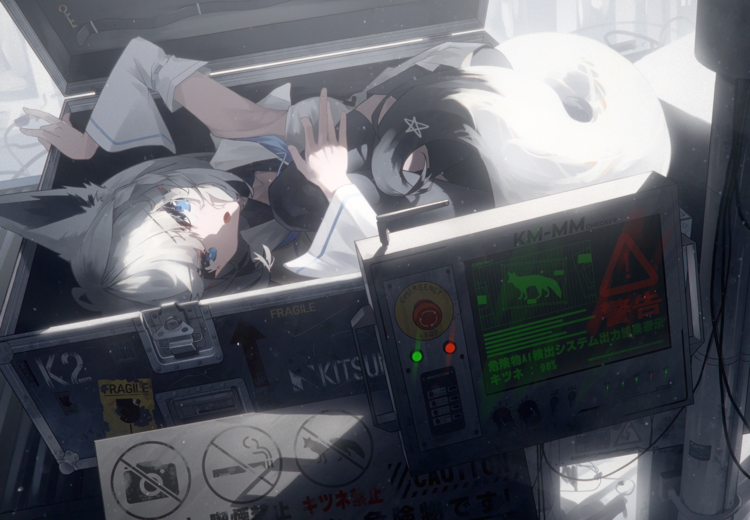 animal_ears, blue_eyes, bookey, braids, computer, foxgirl, gray_hair, hololive, shirakami_fubuki, skirt, tail, thighhighs