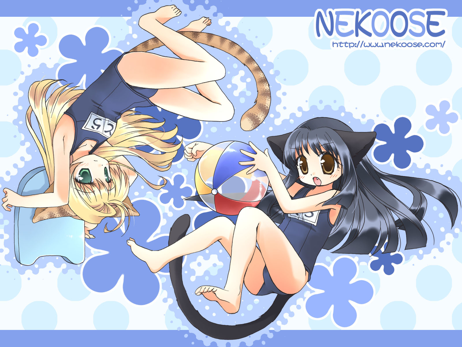 animal_ears, catgirl, nekoose, school_swimsuit, swimsuit